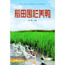 稻田围栏养鸭