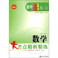 初中总复习：数学大考点精析精练（第2版）