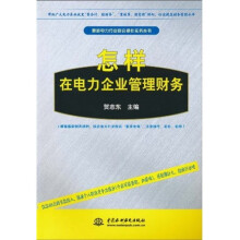 怎样在电力企业管理财务