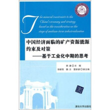 中国经济面临的矿产资源能源约束及对策：基于工业化中期的思考