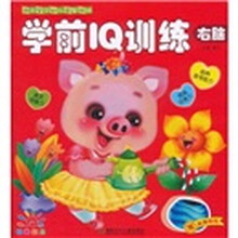 阳光宝贝幼儿益智游戏：学前IQ训练右脑