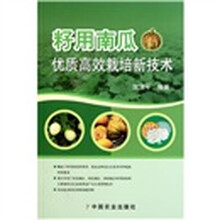 籽用南瓜优质高效栽培新技术