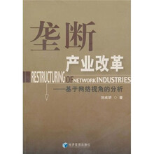垄断产业改革：基于网络视角的分析