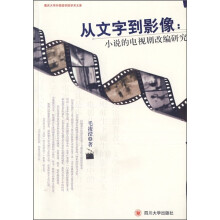 从文字到影像：小说的电视剧改编研究