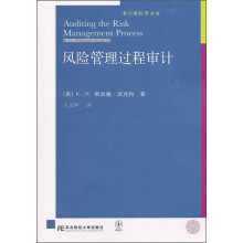 风险管理过程审计