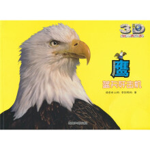 鹰:蓝天歼击机