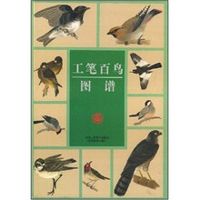 工笔百鸟图谱