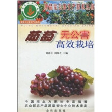 葡萄无公害高效栽培
