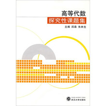 高等代数探究性课题集