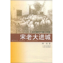 宋老大进城