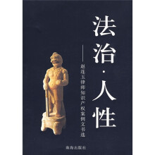 法治·人性：赵连玉律师知识产权案例文书选