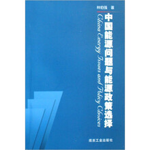 中国能源问题与能源政策选择