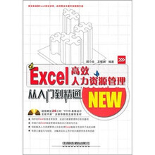 Excel高效人力资源管理从入门到精通(附光盘)