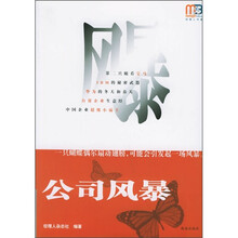 公司风暴