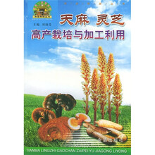 天麻灵芝高产栽培与加工利用