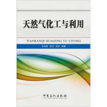 天然气化工与利用