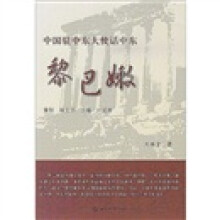 中国驻中东大使话中东:黎巴嫩