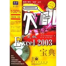 中文版Excel 2003宝典