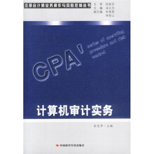 计算机审计实务