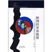 比较文学与文艺学丛书·颠倒的青春镜像:青春成长电影的文化主题研究