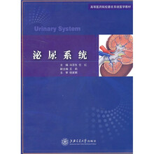 泌尿系统