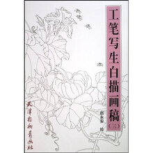 工笔写生白描画稿3