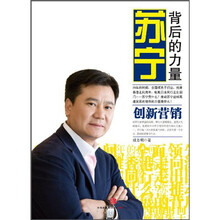 苏宁：背后的力量（创新营销）