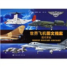 世界飞机图文档案：现代军机