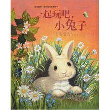 宝宝的第一套自我成长图画书：一起玩吧，小兔子