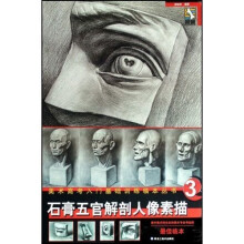 美术高考入门基础训练临本丛书:石膏五官解剖人像素描3