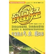 专家指点鸟、虫、鹿饲养（附光盘）