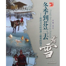 冬季到芬兰去看雪：我所见证的世界上最美的地方