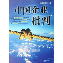 中国企业批判
