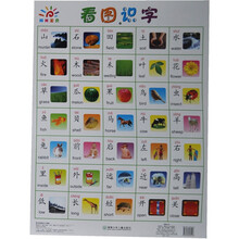 阳光宝贝大挂图：看图识字