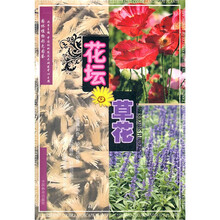 园林植物彩色图鉴：花坛草花