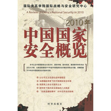 2010年中国国家安全概览