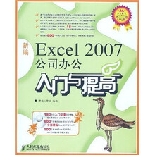 新编Excel 2007公司办公入门与提高(附光盘)