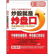 炒股就是炒盘口：两星期炼成盘口实战高手（彩图版）