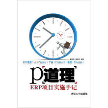 P道理：ERP项目实施手记