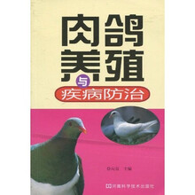 肉鸽养殖与疾病防治