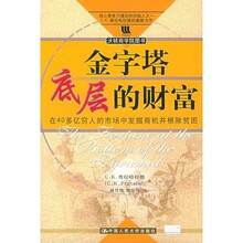 金字塔底层的财富
