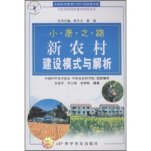 新农村建设模式与解析