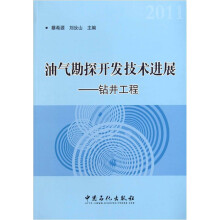油气勘探开发技术进展：钻井工程