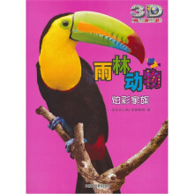 雨林动物:炫彩家族