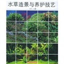 水草造景与养护技艺