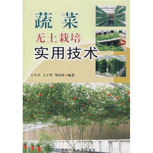 蔬菜无土栽培实用技术