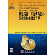 数学物理学百科全书11:代数拓扑 辛几何与拓扑 常微分和偏微分方程(导读版)