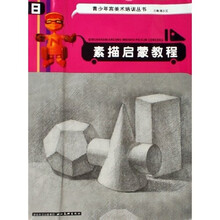 青少年宫美术培训丛书：素描启蒙教程8
