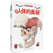 DK超级模型透视（套装共4册）