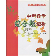 新课标中考专项夺标：中考数学综合题透析